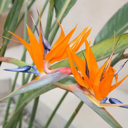 Hotel apartamentowy Anna 4*